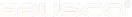 Ebusco 1